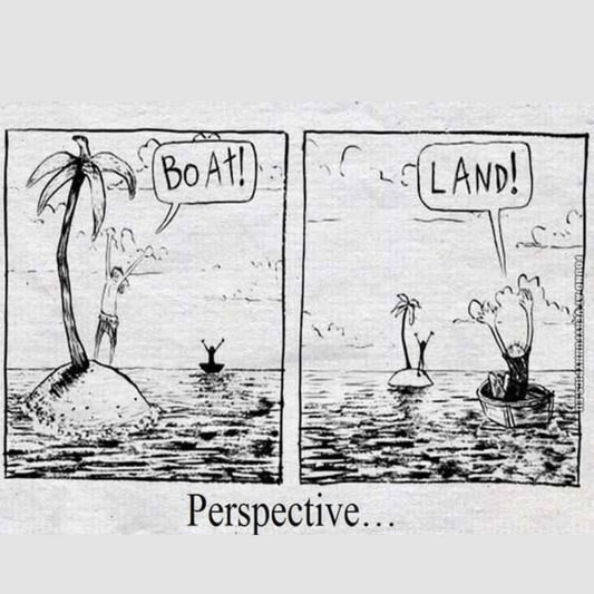 The Art of Perspective-Taking