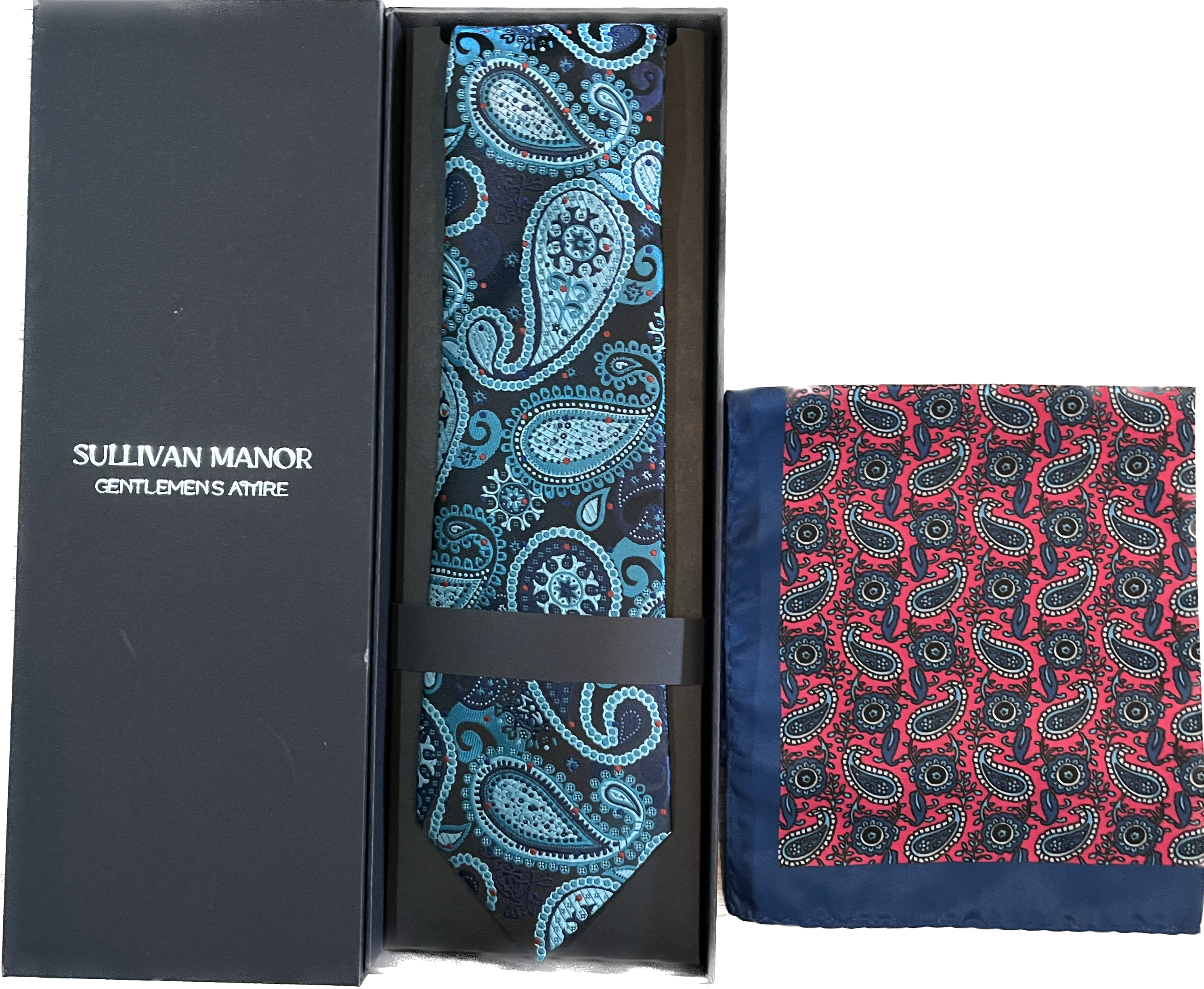 Turquoise Paisley Silk Tie