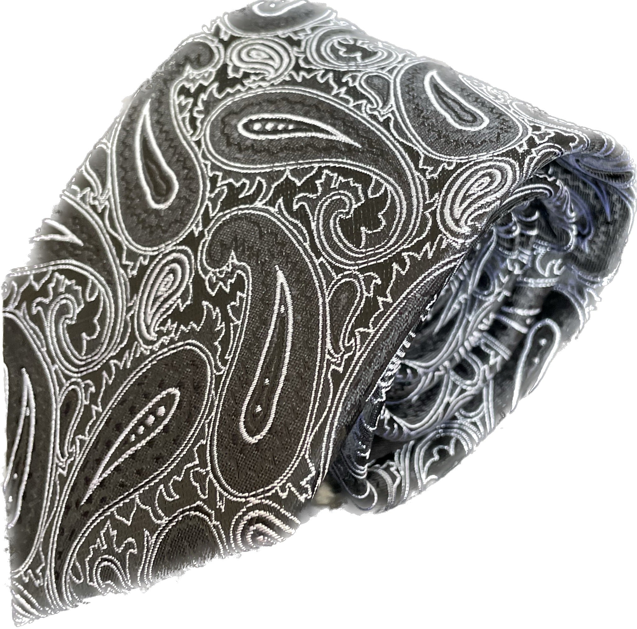 Alchemy Silver Paisley Silk Tie