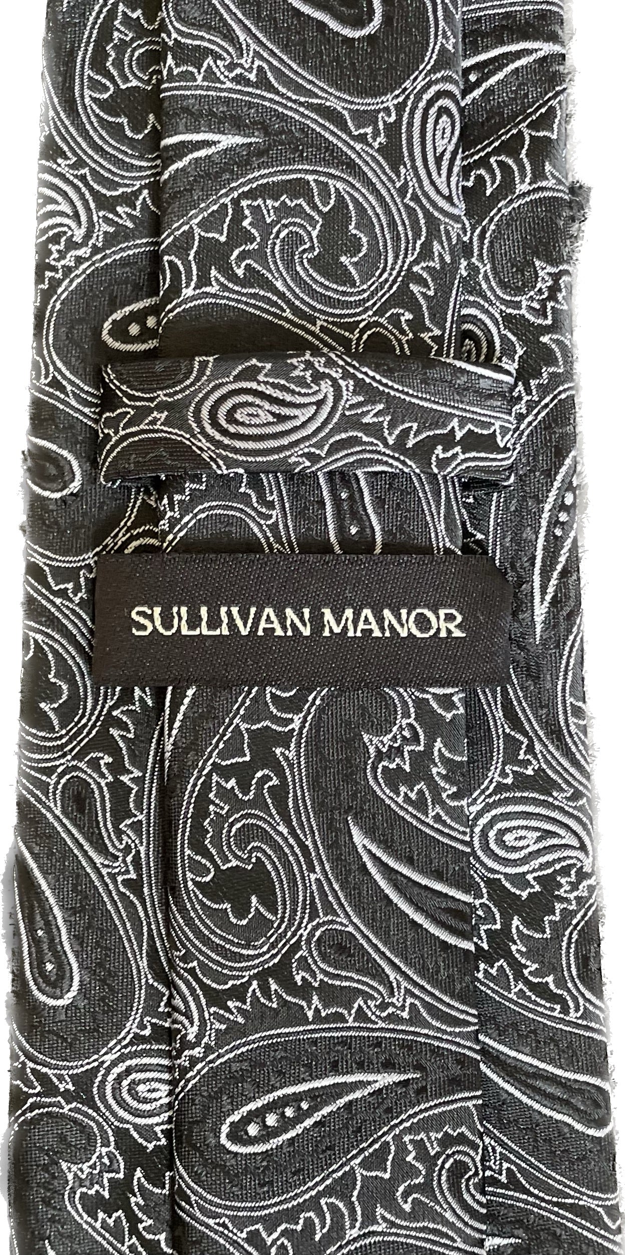 Alchemy Silver Paisley Silk Tie